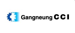 gangneungcci_logo (1)